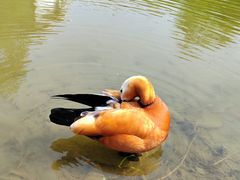 -河北省园博园