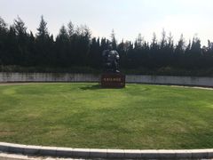 -上海海湾国家森林公园