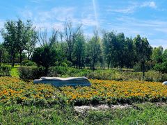 -武清南湖绿博园