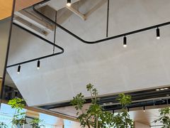-gaga(深圳福田星河COCO Park店)