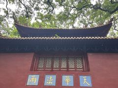 -普陀山风景名胜区-法雨禅寺