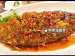 -津城食府