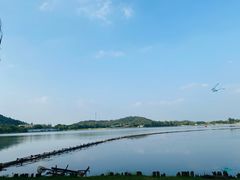 -上海月湖雕塑公园