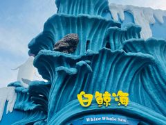 -杭州长乔极地海洋公园