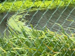 -马陆小张葡萄园农家乐