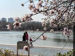 -太阳宫公园