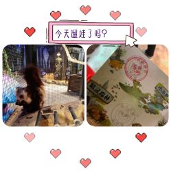 -酷嗒动物文化乐园(cutezoo西溪乐天城店)