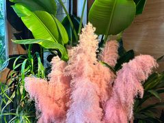 -春暖花开(西溪店)