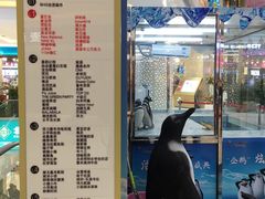 -高新·活力城Village