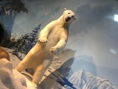 -陕西自然博物馆