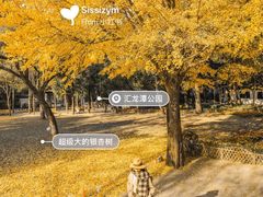 景点-汇龙潭