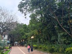 -九龙公园