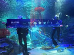 -沈阳海洋探索中心