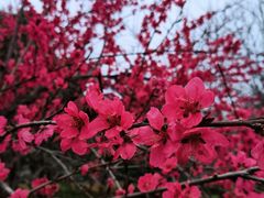 -洨河生态公园