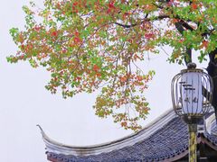 -老门东历史文化街区