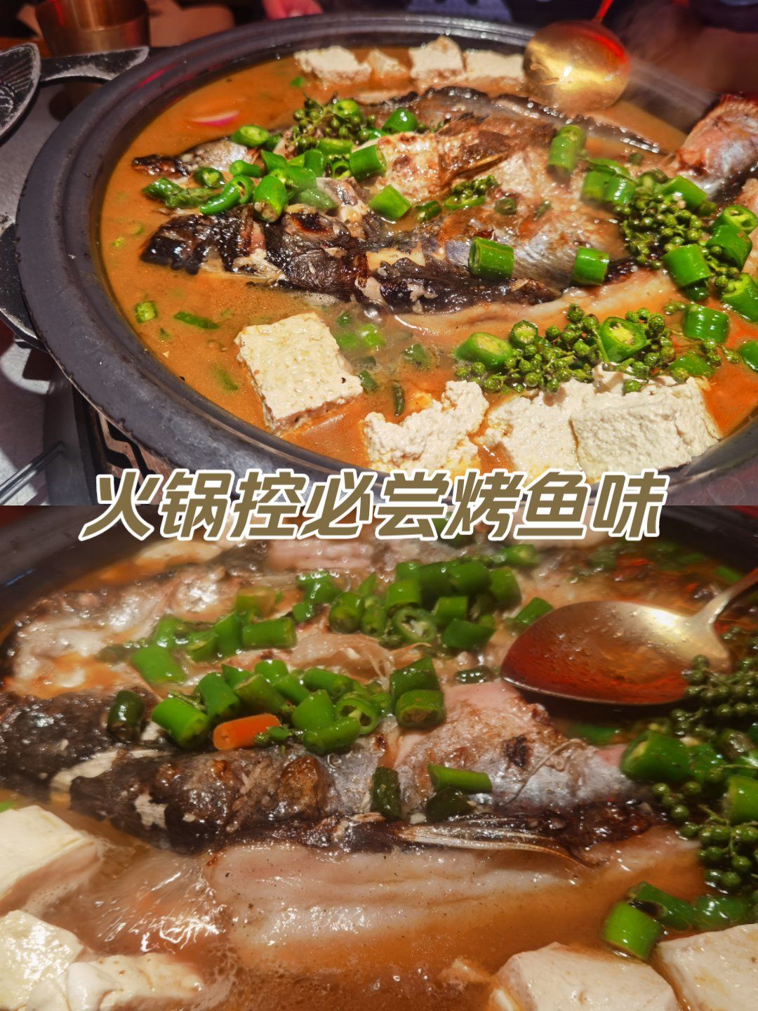 探鱼青花椒豆花烤鱼