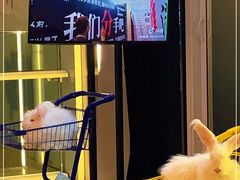 -成都失恋馆