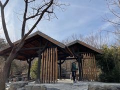 -阳台山自然风景区