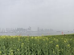 -武昌江滩