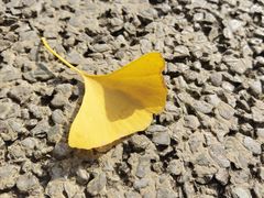 -苏州河梦清园环保主题公园