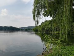 -苏堤停车场