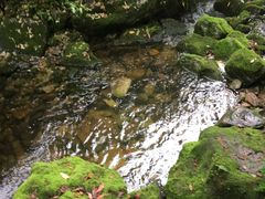 -陕西省红河谷森林公园