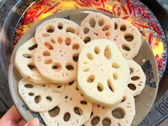 鲜藕片-重庆渝达老火锅(春熙路店)
