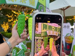 -炖物24章·顺时轻养茶(黄龙店)