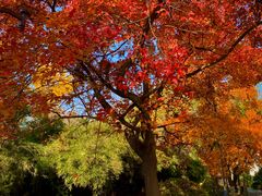 -三好坞景观餐厅