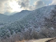 -北京西山国家森林公园