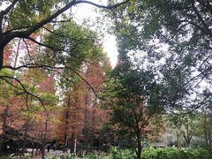 -苏州河梦清园环保主题公园