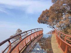 -少华山国家森林公园