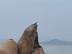-崂山仰口游览区
