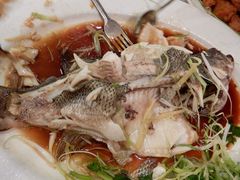 清蒸青班鱼-陆羽海鲜酒家
