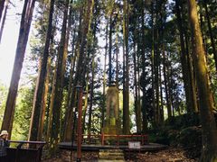-阿里山神木遗迹