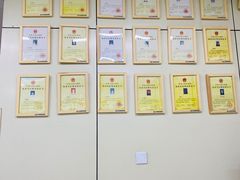 -北京观赏动物医院·24小时大型综合·猫专科·异宠专科