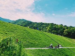 -龙坞茶村