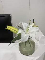 -安那般那皮肤年轻化ANAPANA