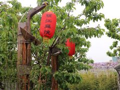 iphone_upload_pic-慢丽江·云南野生菌土鸡锅(西山店)