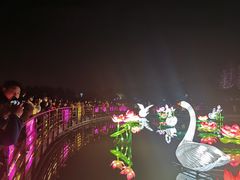 -桐乡凤凰湖