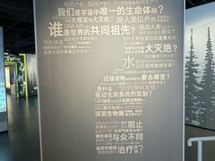 -四川大学博物馆