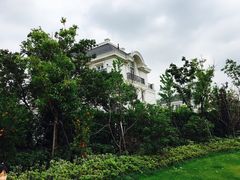 -新江湾城公园