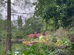 -深圳仙湖植物园