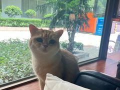 -咖法森林·咖啡  酒吧(天河店)