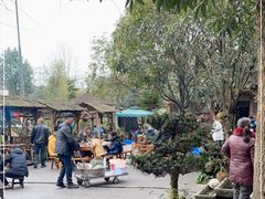 -青城甲(青城山店)