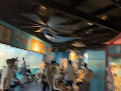 -海合安武汉极地海洋公园