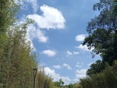 -广州市白云山风景名胜区