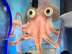 -贝林大翅鲸简餐厅(国家海洋博物馆店)