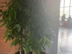 -浅深Cheersum(曹杨店)