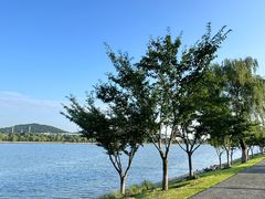 -羊山湖公园